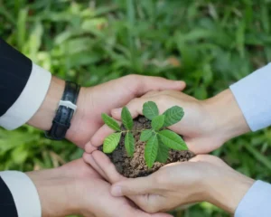 Partnerkonto Headerbild